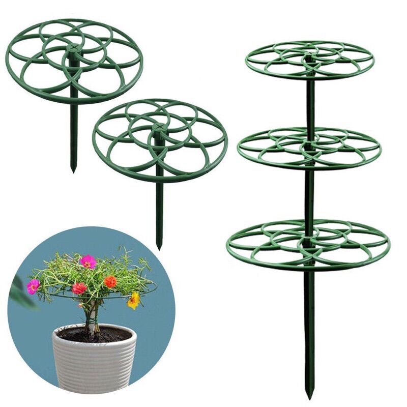 Khung giá đo hoa mười giờ. Kích thước 19/23/28cm