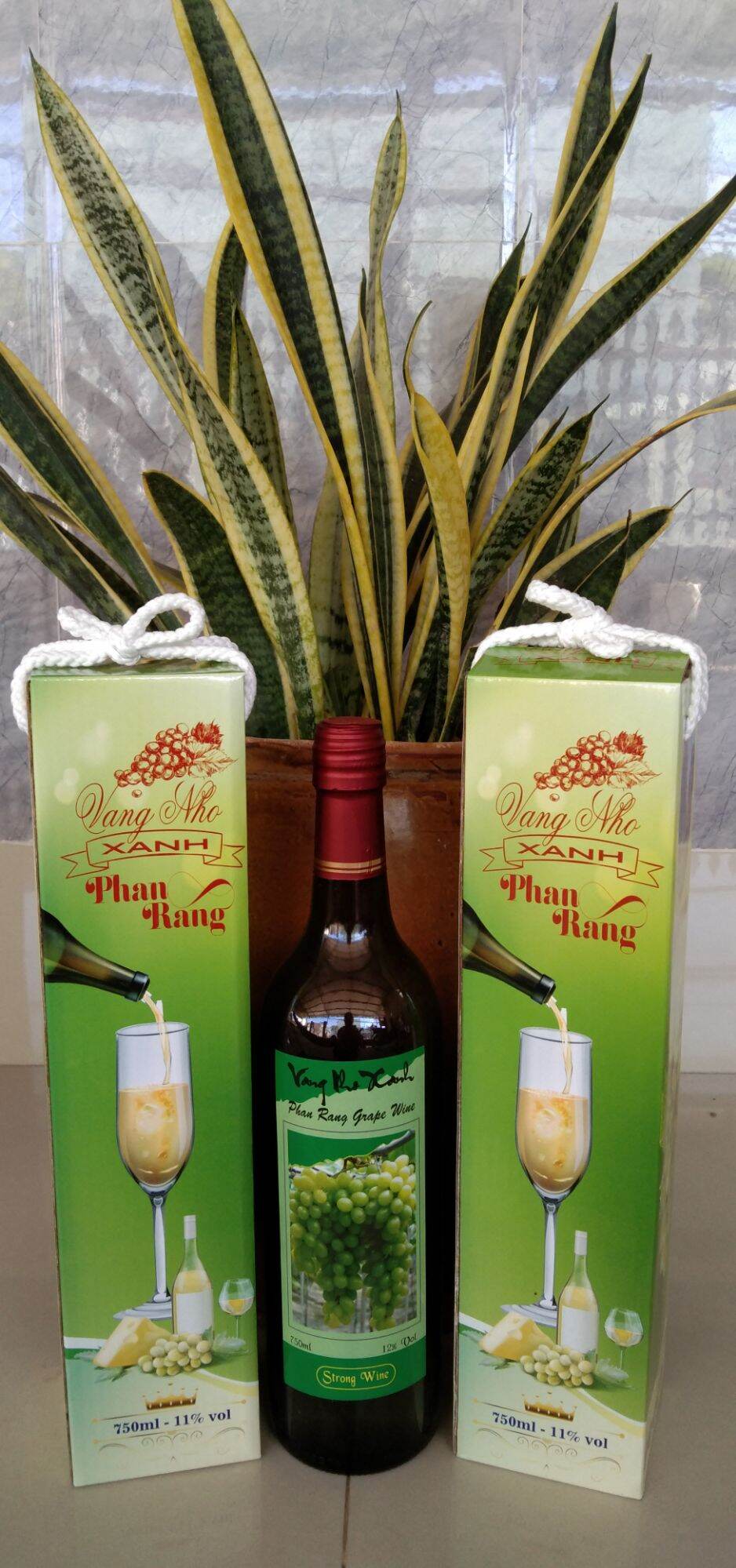 Vang Nho Xanh Phan Rang#Organix