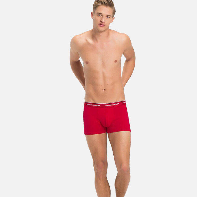 TOMMY HILFIGER  -  Quần Lót Nam  1U87903842611