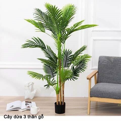 cây giả cây dừa cảnh cao 1.55met - 1,8m