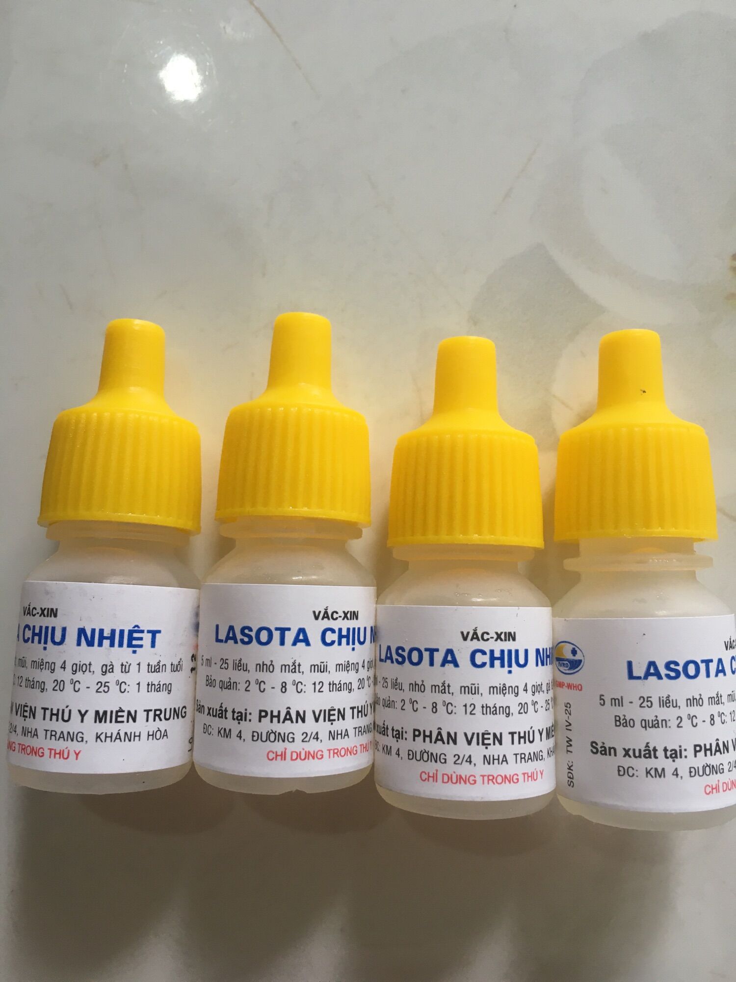 1 lọ lasota chịu nhiệt ngừa bệnh dịch tả cho gà con 3 ngày tuổi.