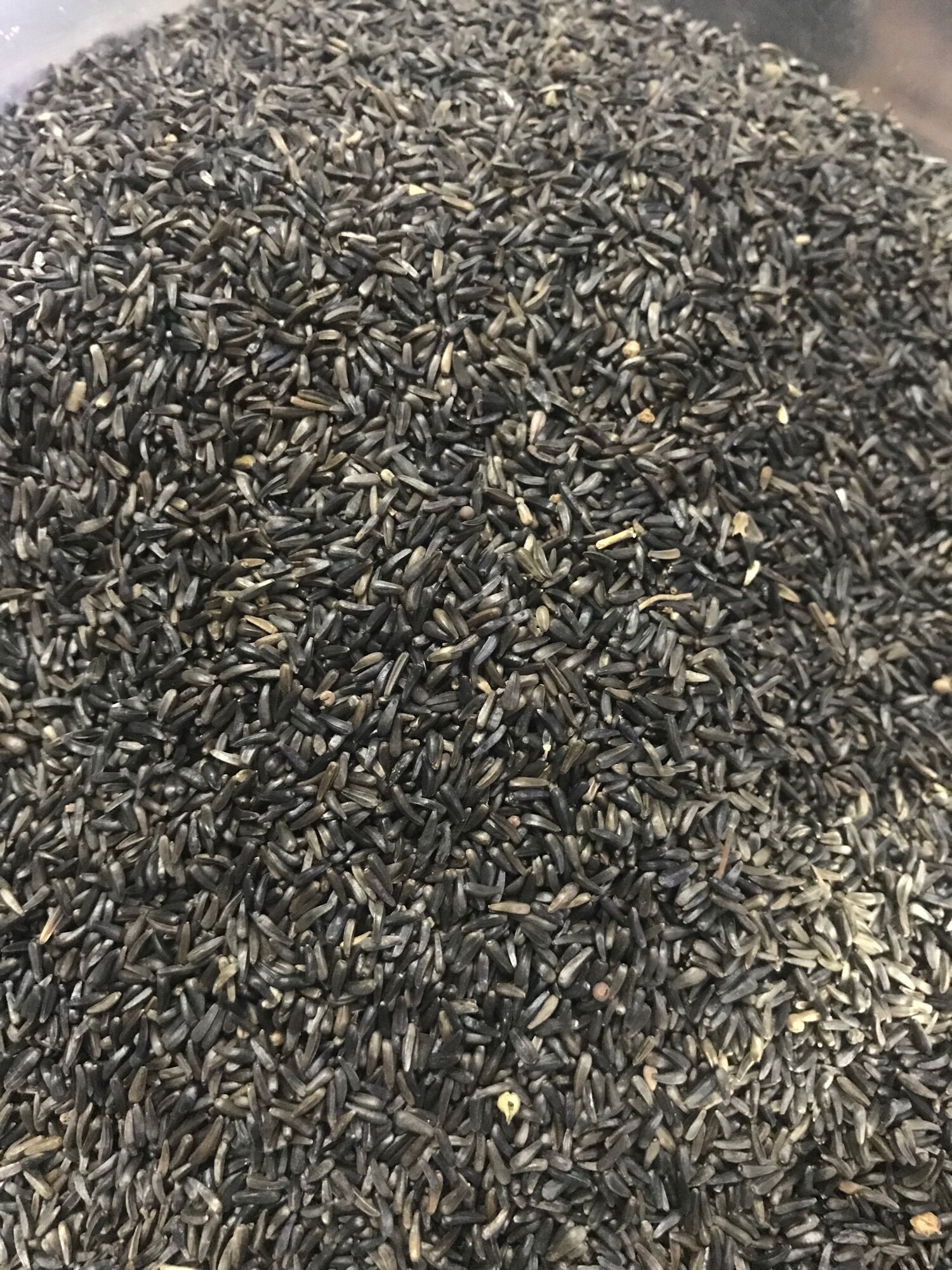 Chim cảnh Hạt Niger { Kích Cồ Sinh Sản} - Gói 200Gram