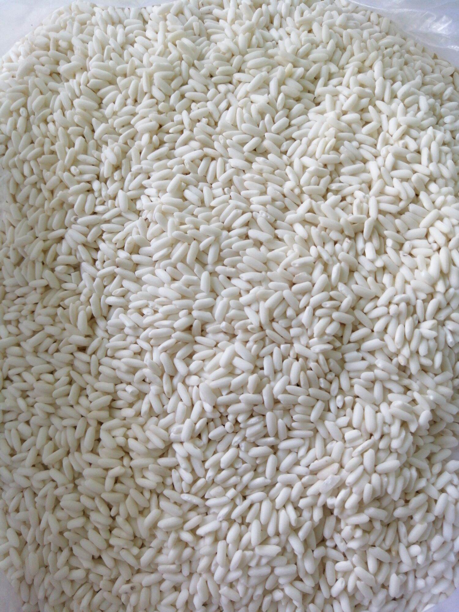 1 Kg ​  Nếp Lào