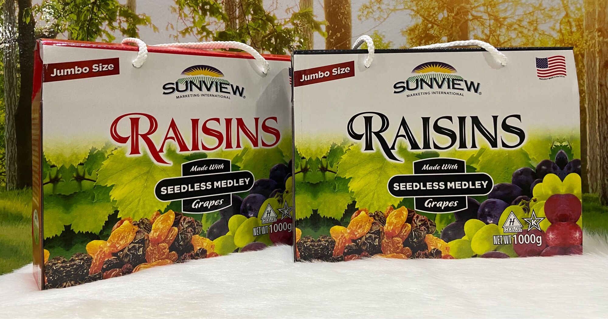 Nho Khô Raisins Hộp 1kg