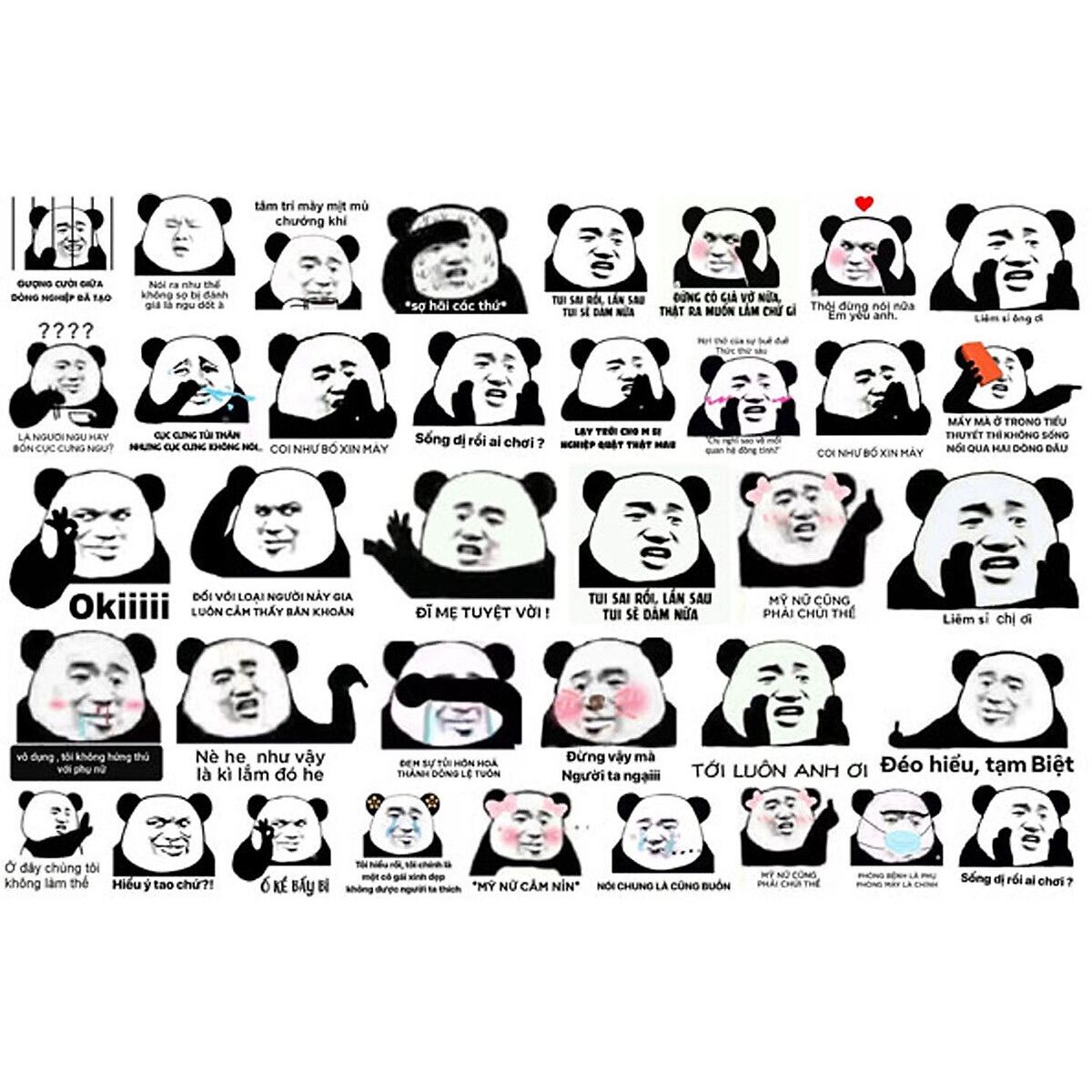 Hình Dán Gấu Trúc Bựa Meme 30-60 Ảnh Khác Nhau/ Combo Sticker Gấu Trúc Bựa  Meme | Lazada.Vn