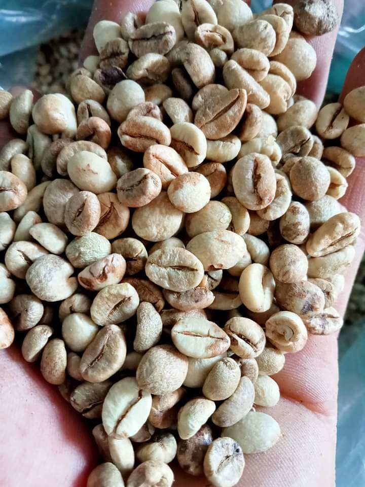 Cafe Arabica Cầu Đất gói 500g nguyên chất