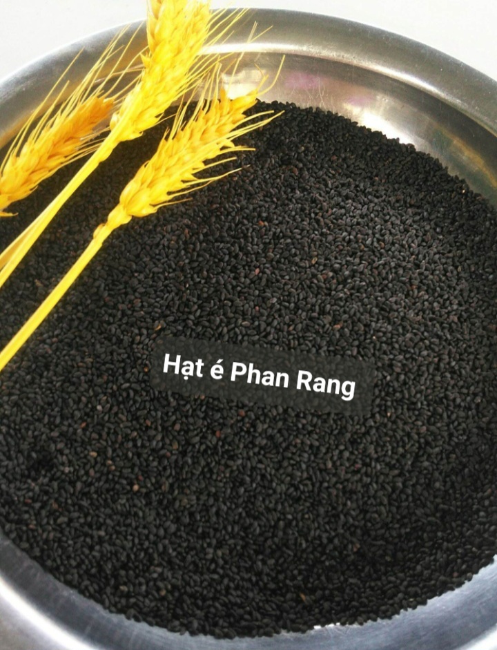 Hạt é sạch Ninh Thuận loại xuất khẩu sạch tạp chất