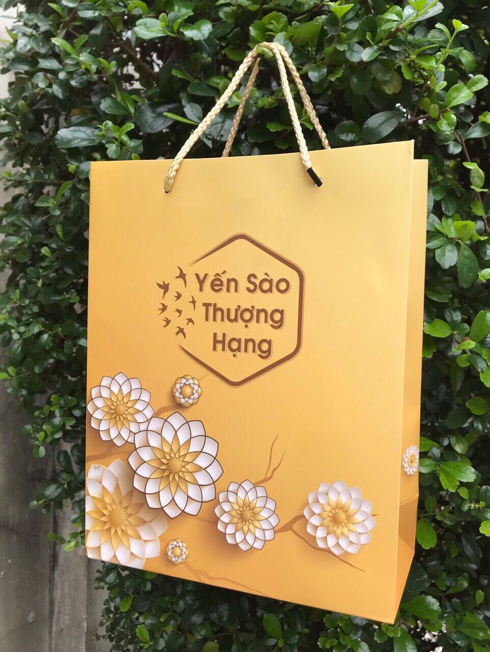 TÚI ĐỨNG ĐỰNG YẾN SÀO 100 gr (ÉP KIM)