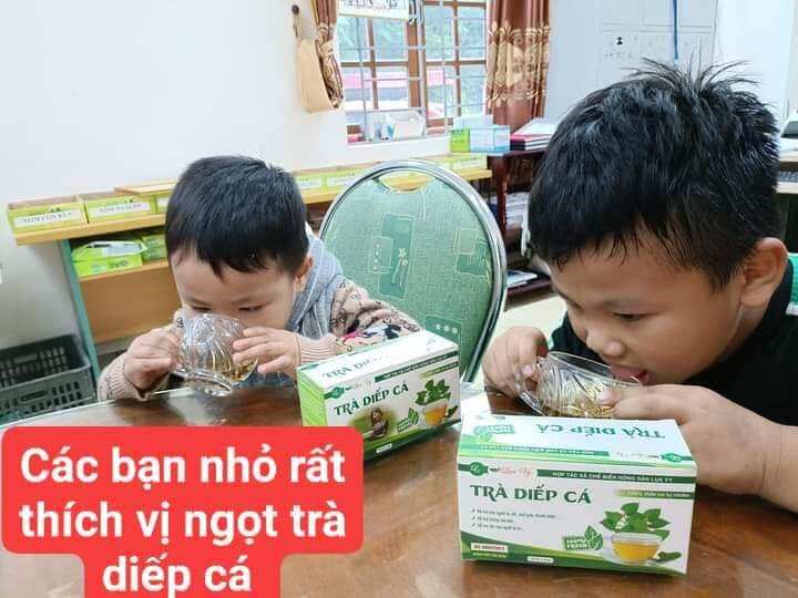 Trà Diếp Cá Lụa Vy
