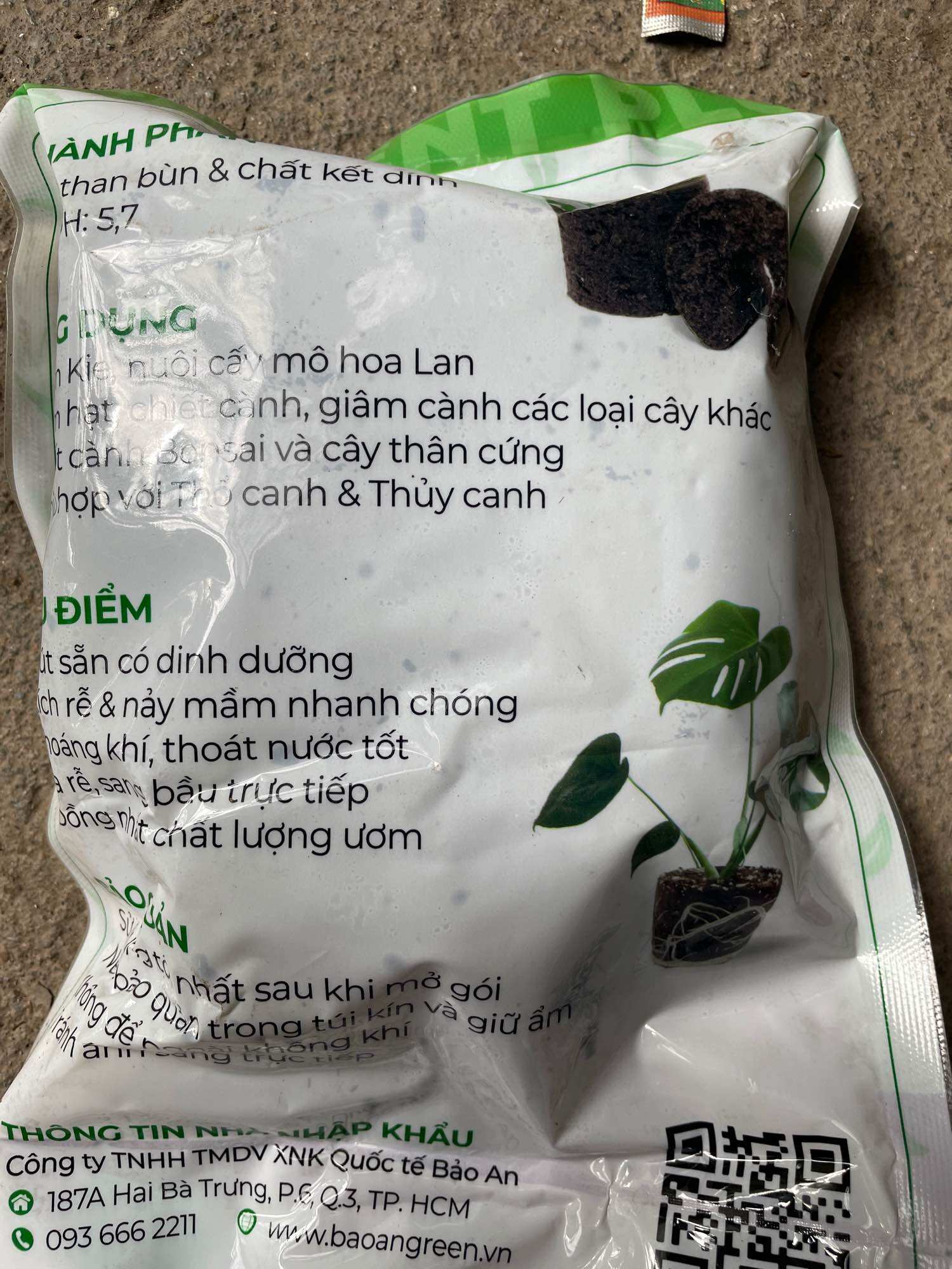 Túi 10 miếng mút ươm kie QUICK PLUG  Hà Lan
