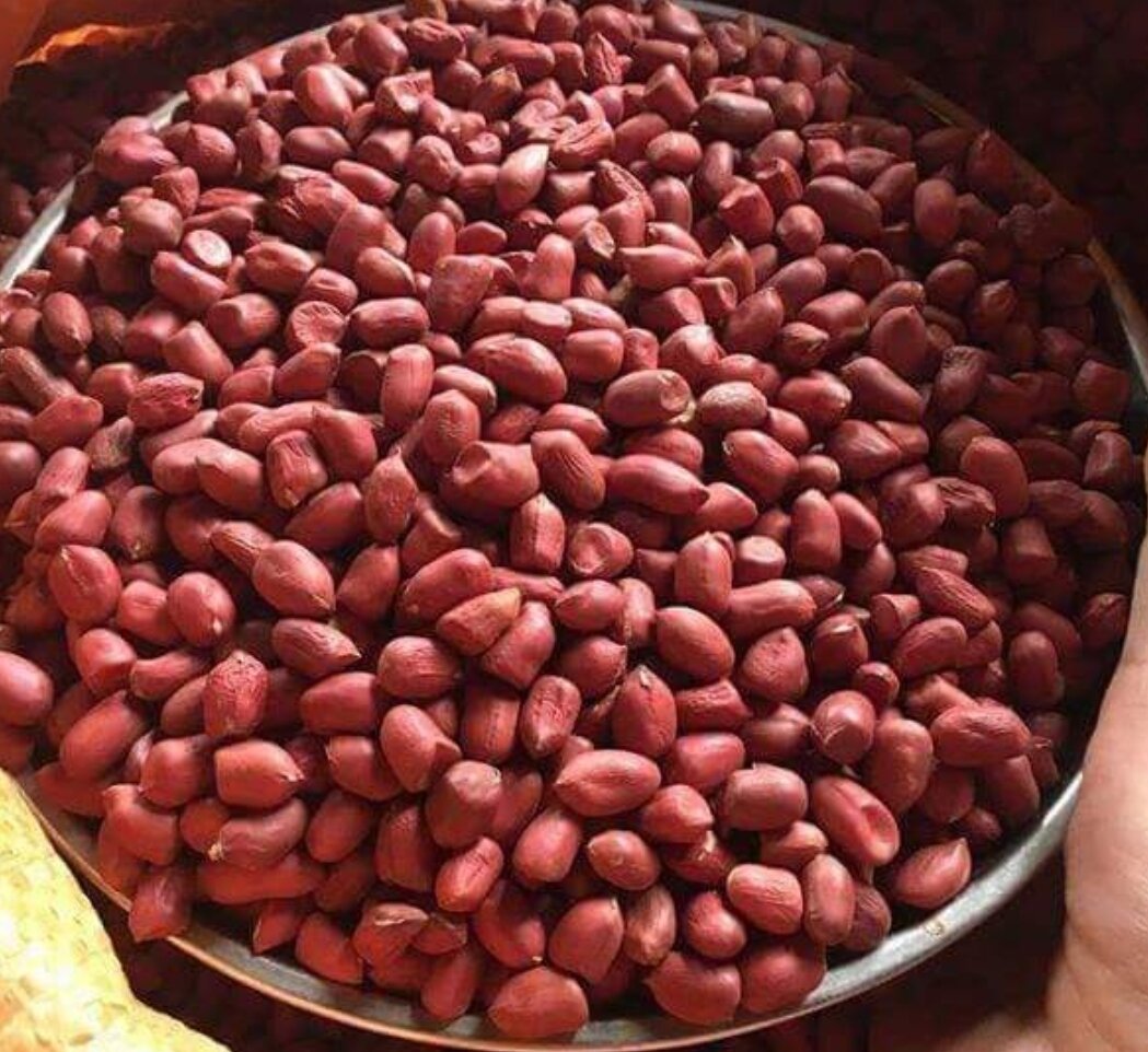 1kg Lạc đỏ giống cũ