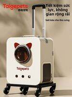 Taigepets | Túi Vận Chuyển Thú Cưng Dung Lượng Lớn