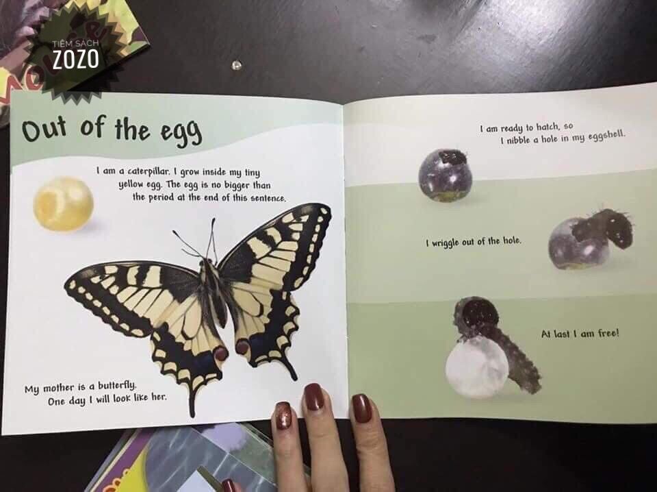 Vòng đời của các loài vật