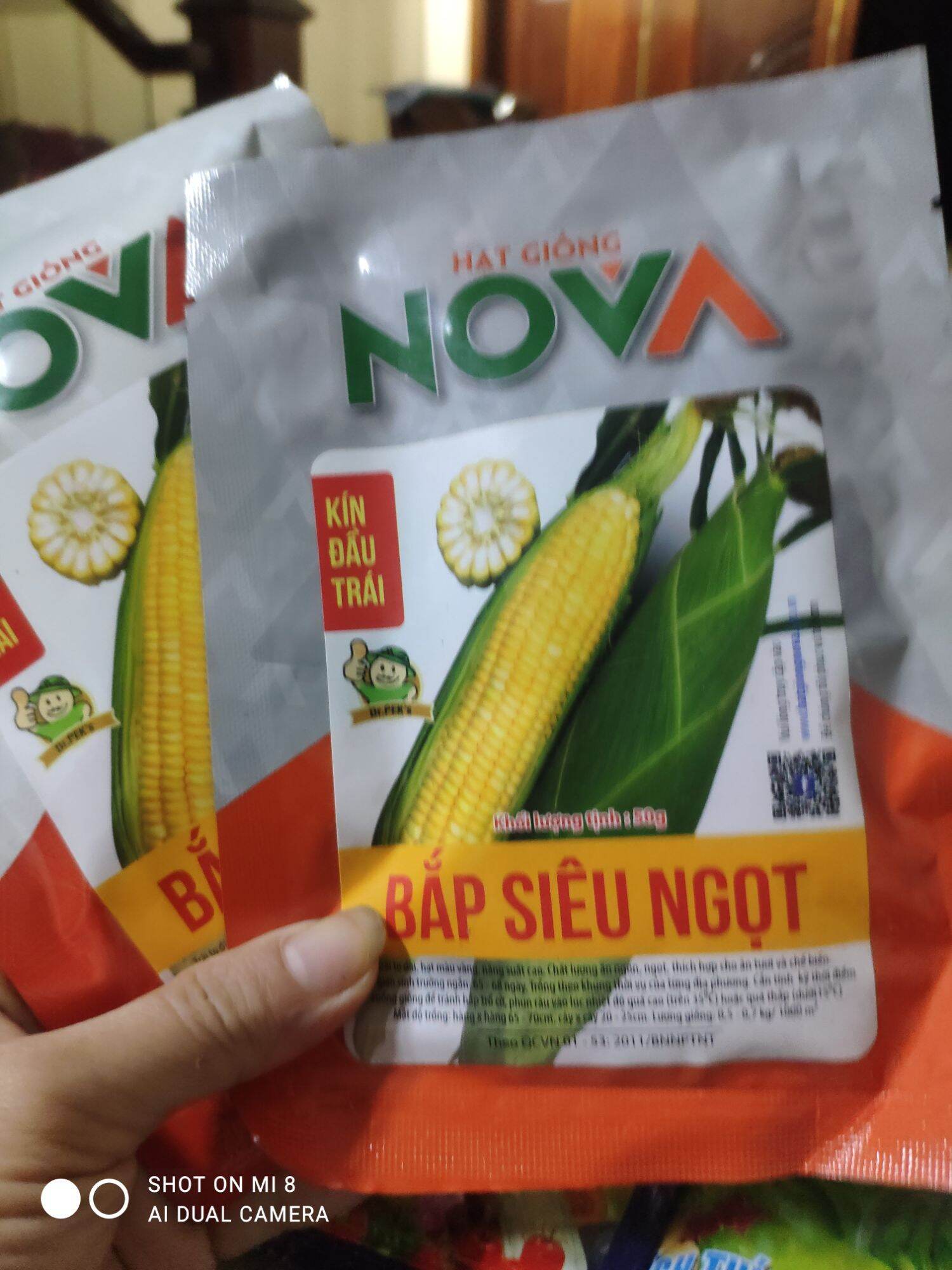 Hạt giống bắp Mỹ vàng siêu ngọt gói hơn 200 hạt