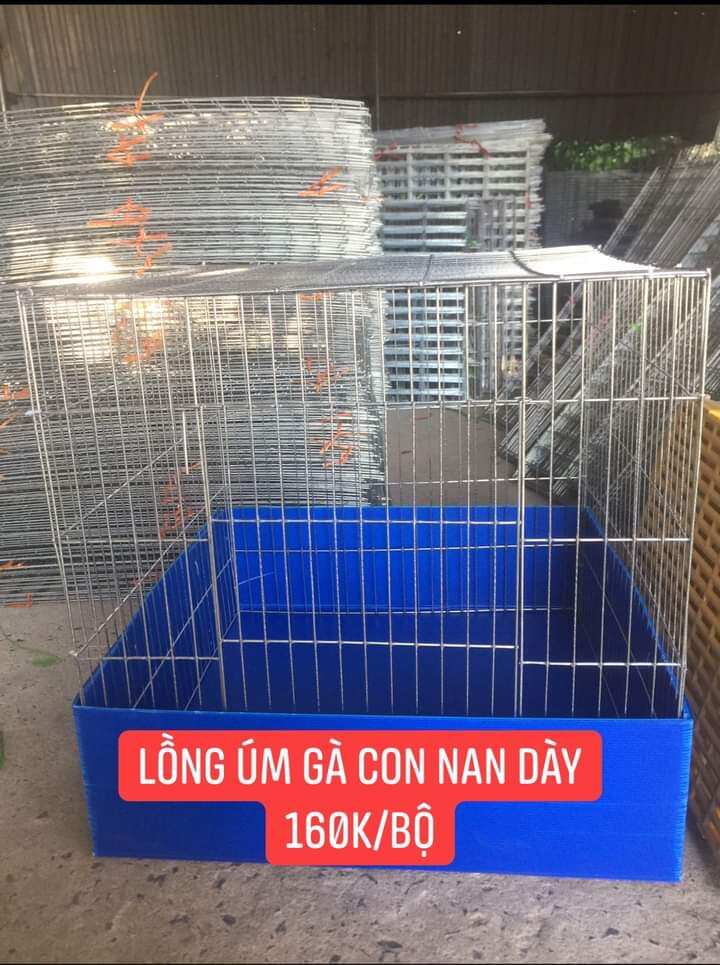 Lồng úm gà con, nuôi gà con chó con .