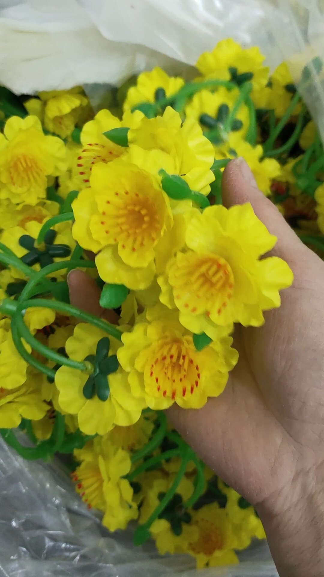 1Túi Hoa mai vàng trang trí tết