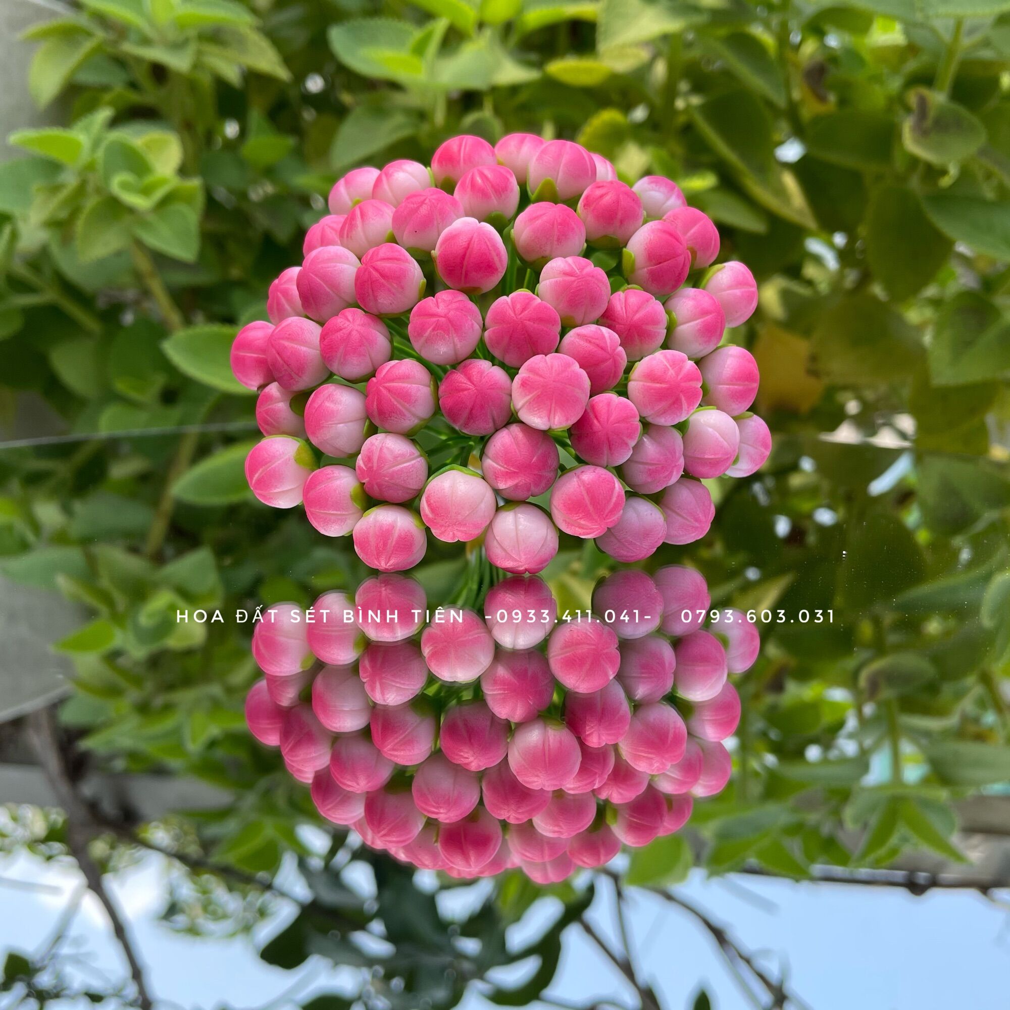 NỤ ĐÀO ĐẤT SÉT (1 BÓ 50 CÁI)