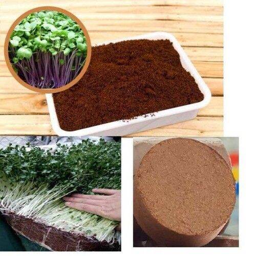 Viên nén sơ dừa, đất nén đất sạch hữu cơ khối lượng 500gr