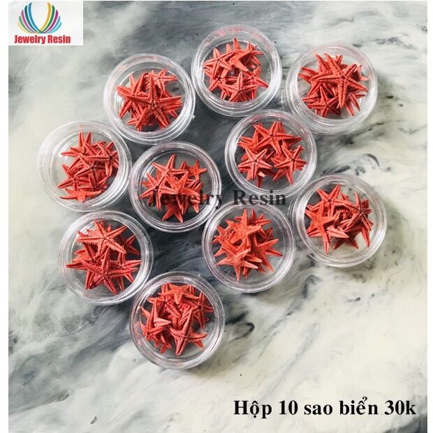 Sao Biển , Sao Biển Mini, Sao Biển Thật