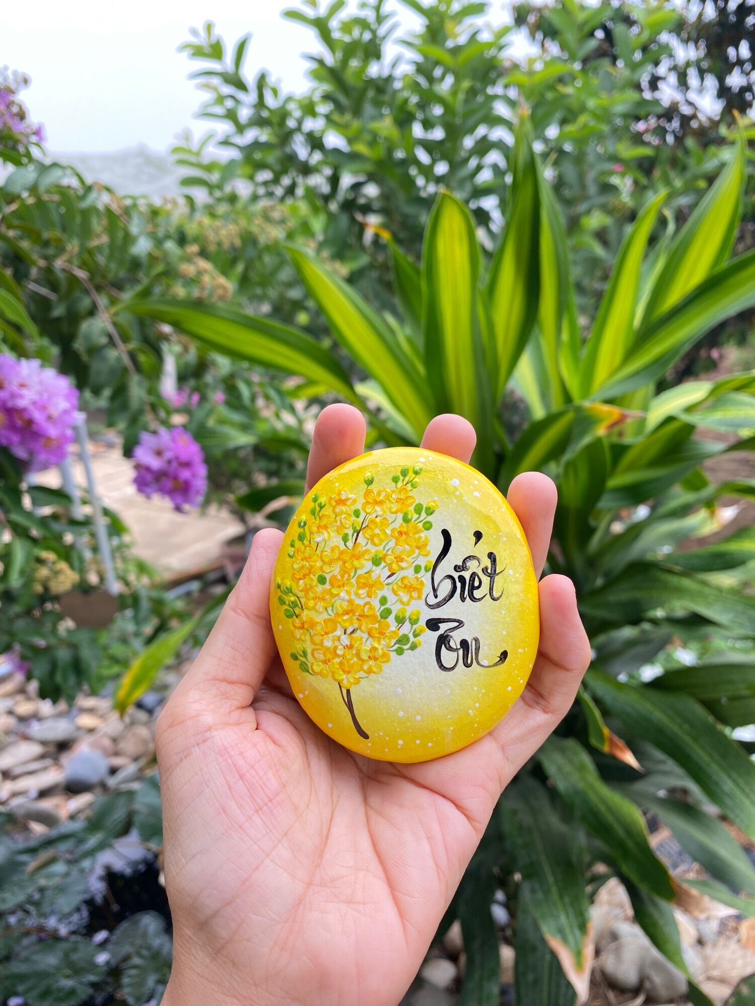 Hòn đá biết ơn mẫu hoa mai