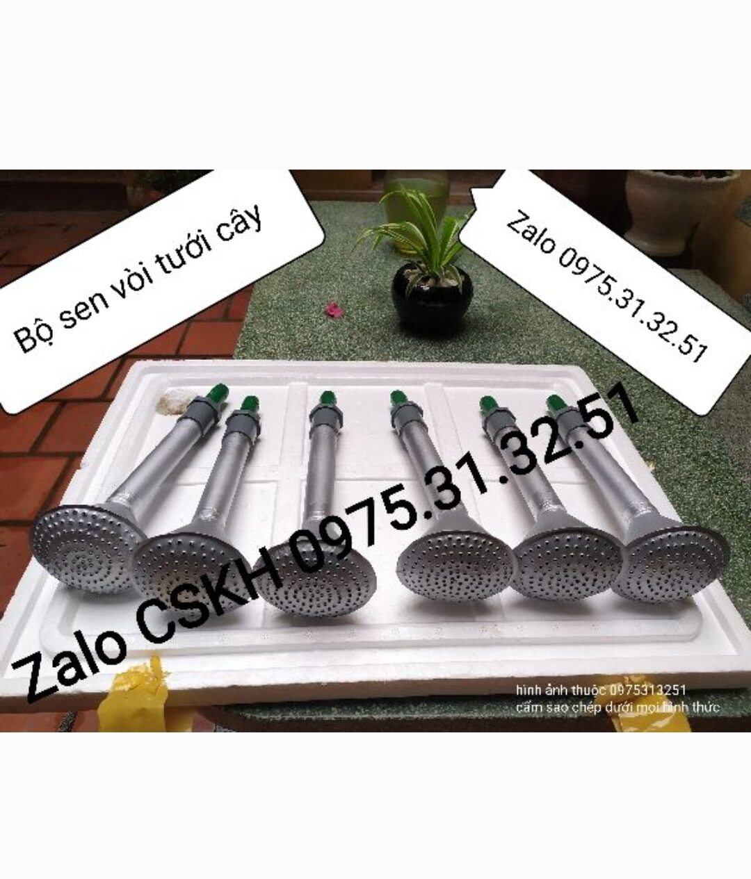 vòi phun nước tưới cây