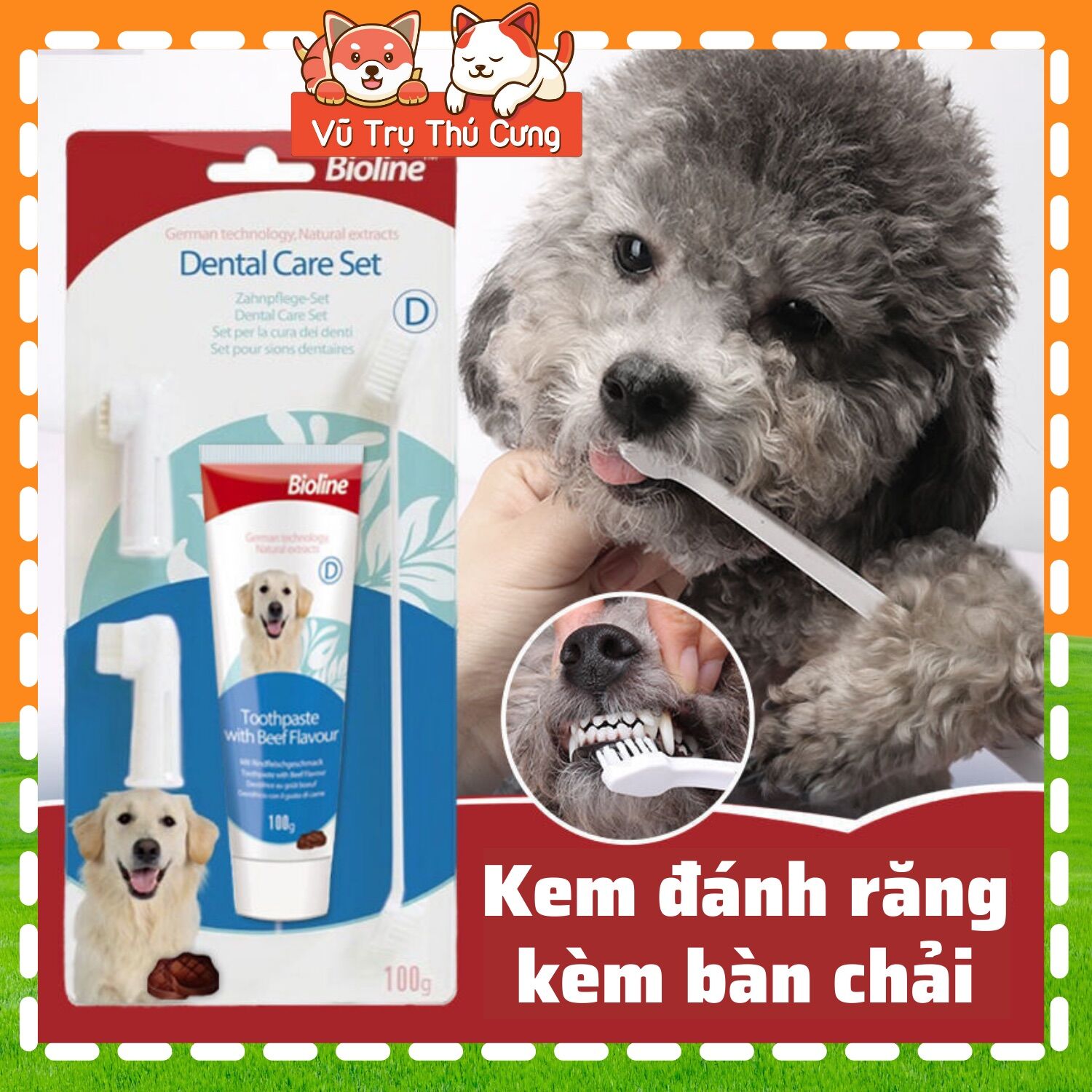 Bộ bàn chải và kem đánh răng cho Chó Bioline 100g, vị bạc hà
