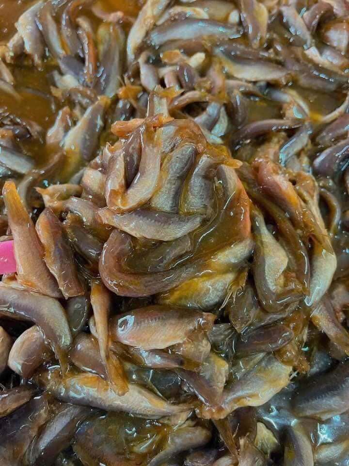 [Cơm quê] Mắm cá linh ngon-1000g/hủ nhựa