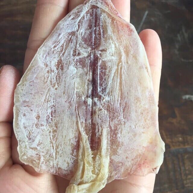2 con mực như hình