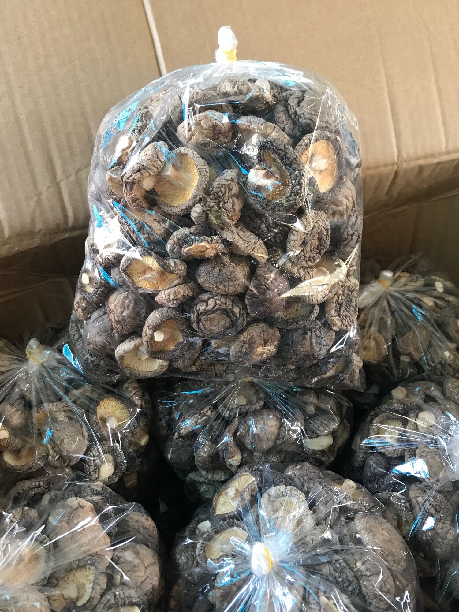 [500gr] Nấm Đông Cô 🍄
