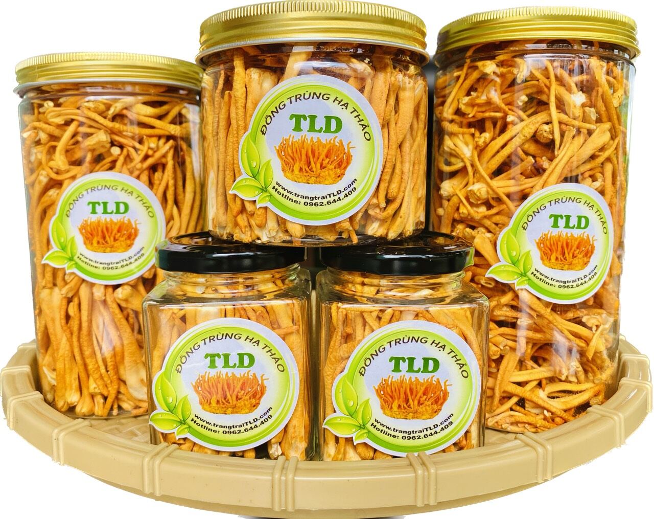 Đông trùng hạ thảo tld sấy thăng hoa lọ 12g - 25gam - 50gam - được nuôi cấy tại lâm đồng