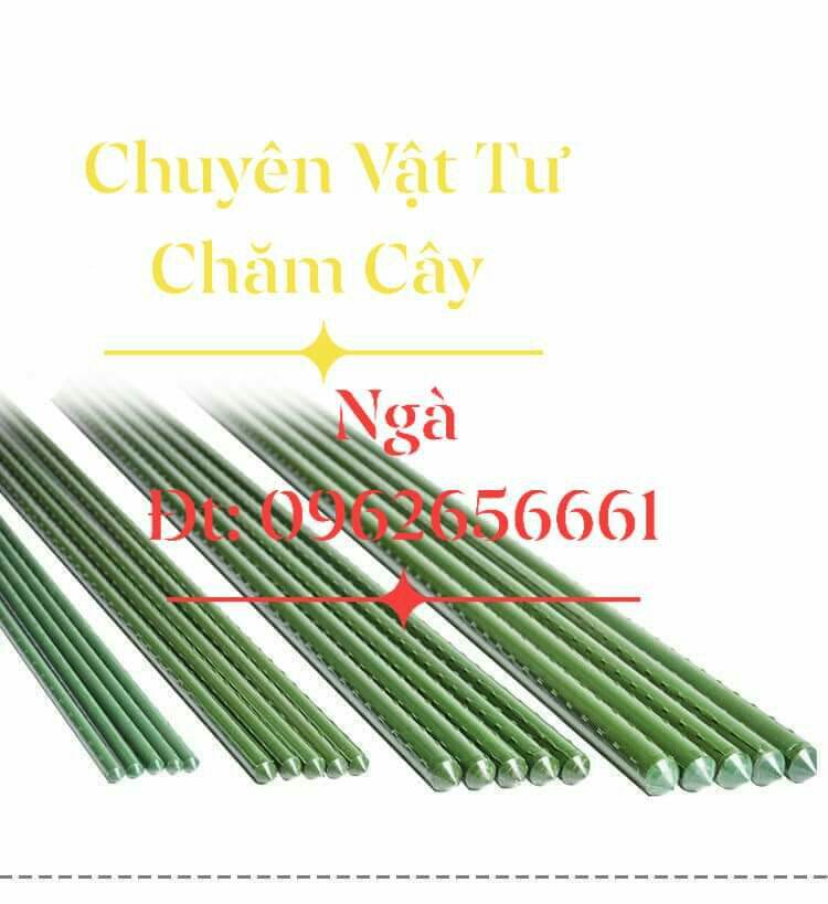 Cọc Giữ Cây Giá Tốt T04/2023 | Mua tại 