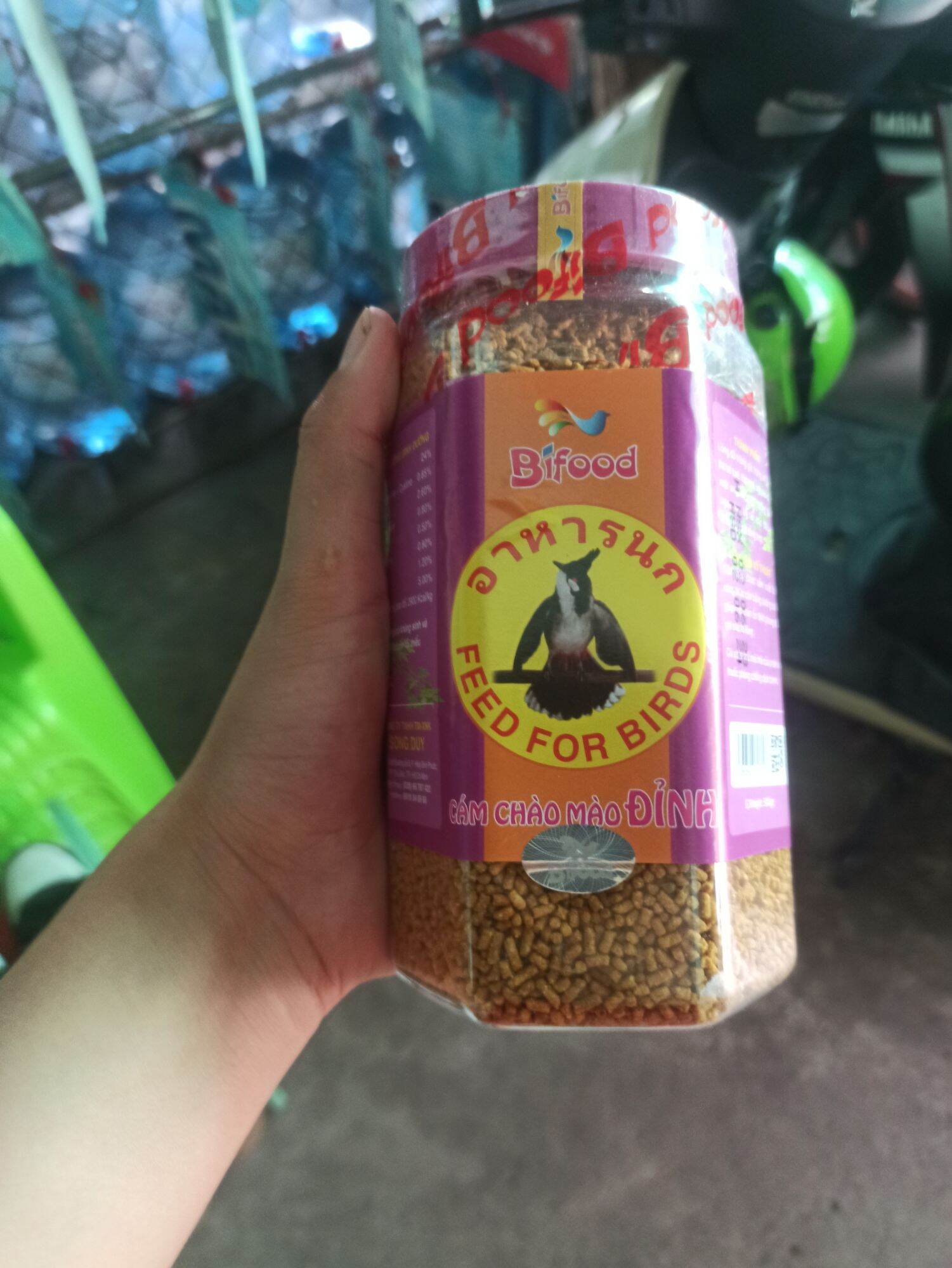 Cám bifood cho chim Chào Mào