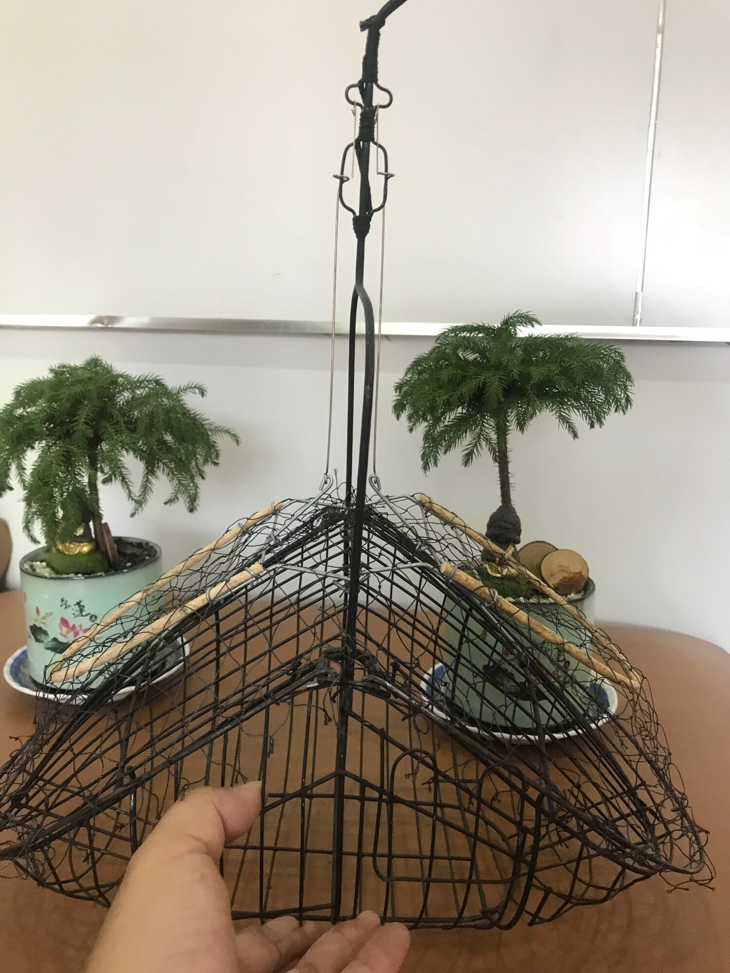 Lồng bẫy chim chào mào