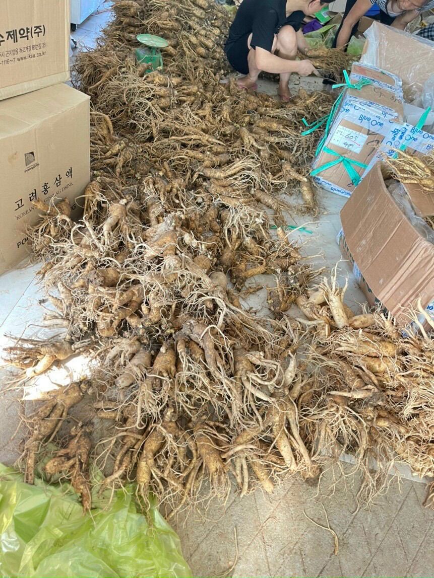 Bột rửa mặt thảo mộc trắng da nguyên chất handmade