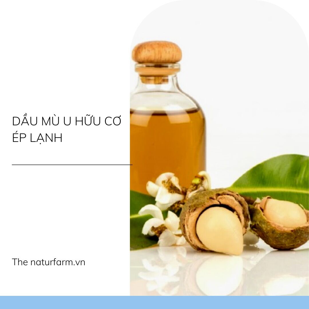 Dầu mù u nguyên chất 100ML ( Mù u vàng nguyên chất )