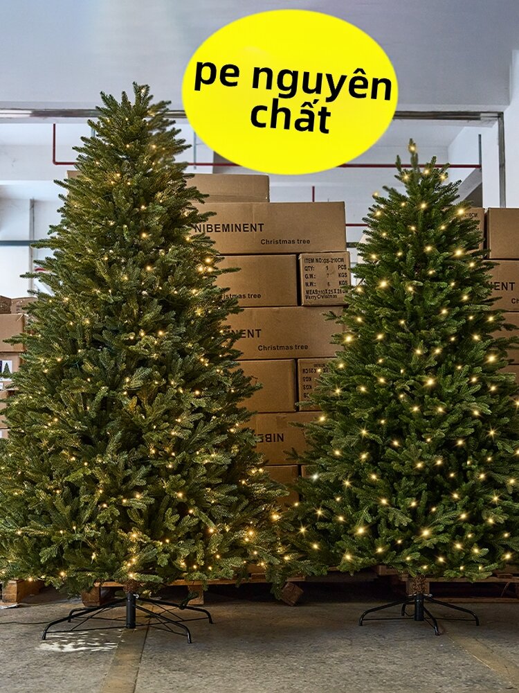 BEAUTY IN THE LIGHT | High-end Decoration Christmas Tree Pure PE