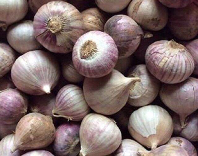 combo 2kg tỏi cô đơn