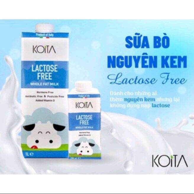 Sữa bò nguyên kem không Lacto Koita 200ml và 1L