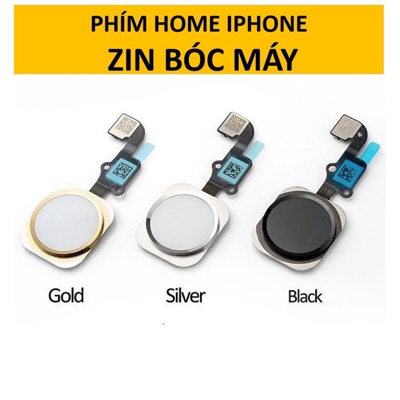 Nút home iphone 6g