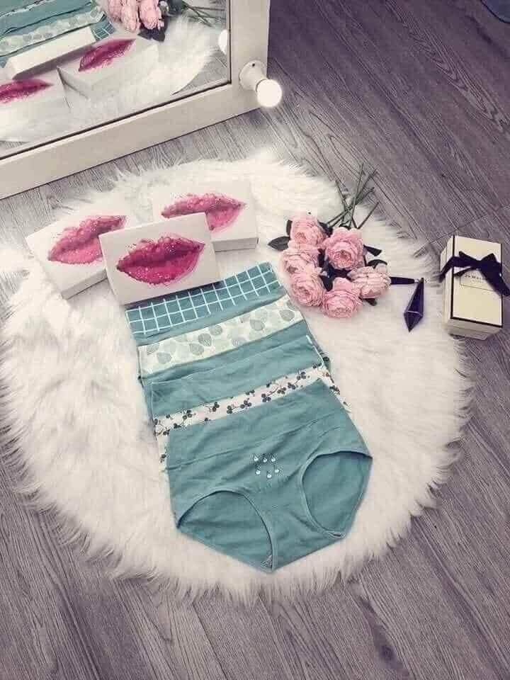 Quần lót cạp cao Cotton