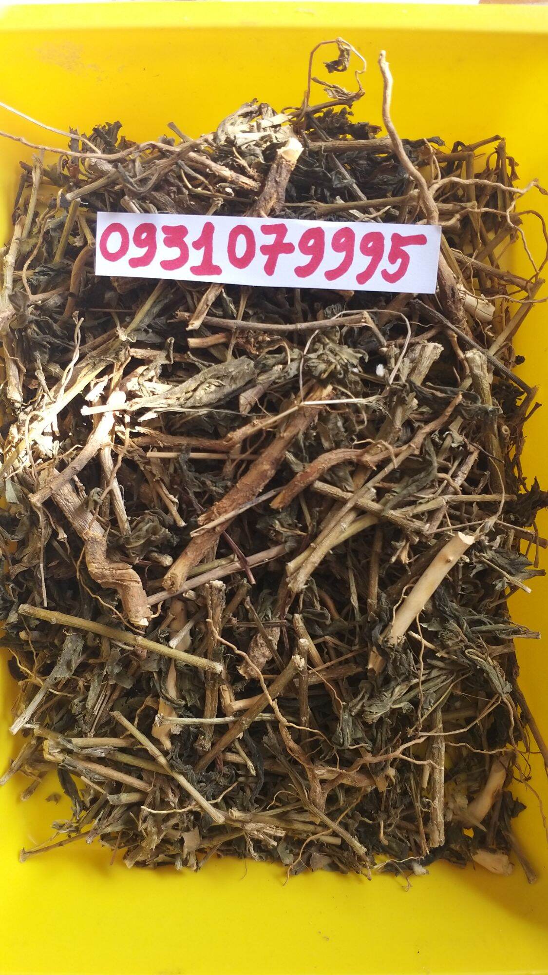 cây rau dừa kiểng - rau dừa cạn phơi khô 1kg