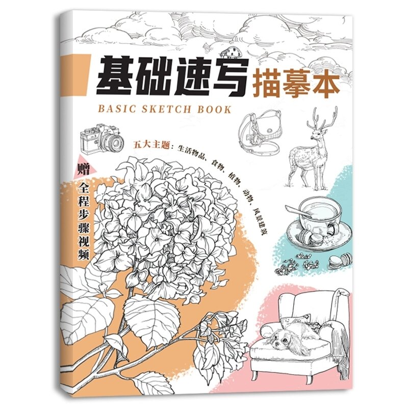 Bản Vẽ Phác thảo Basic sketch