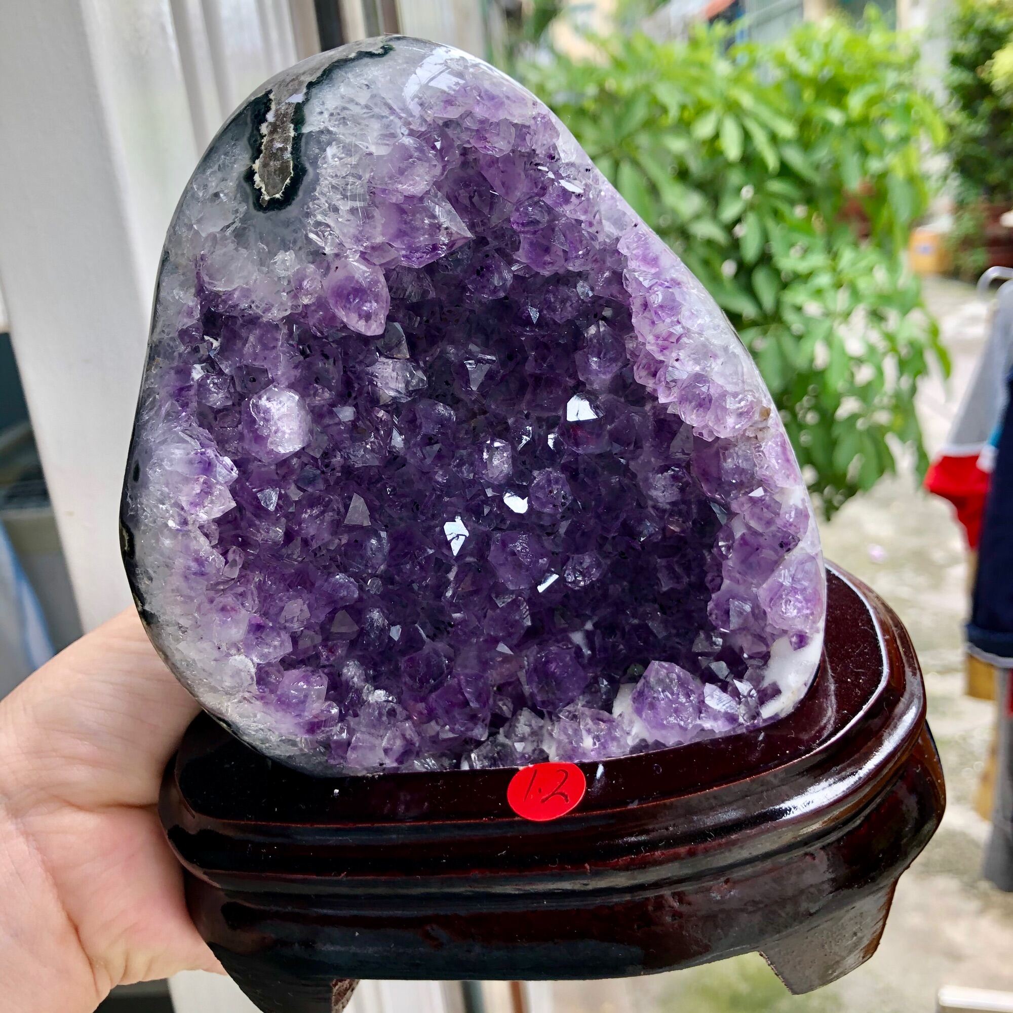 Hốc thạch anh tím sale off