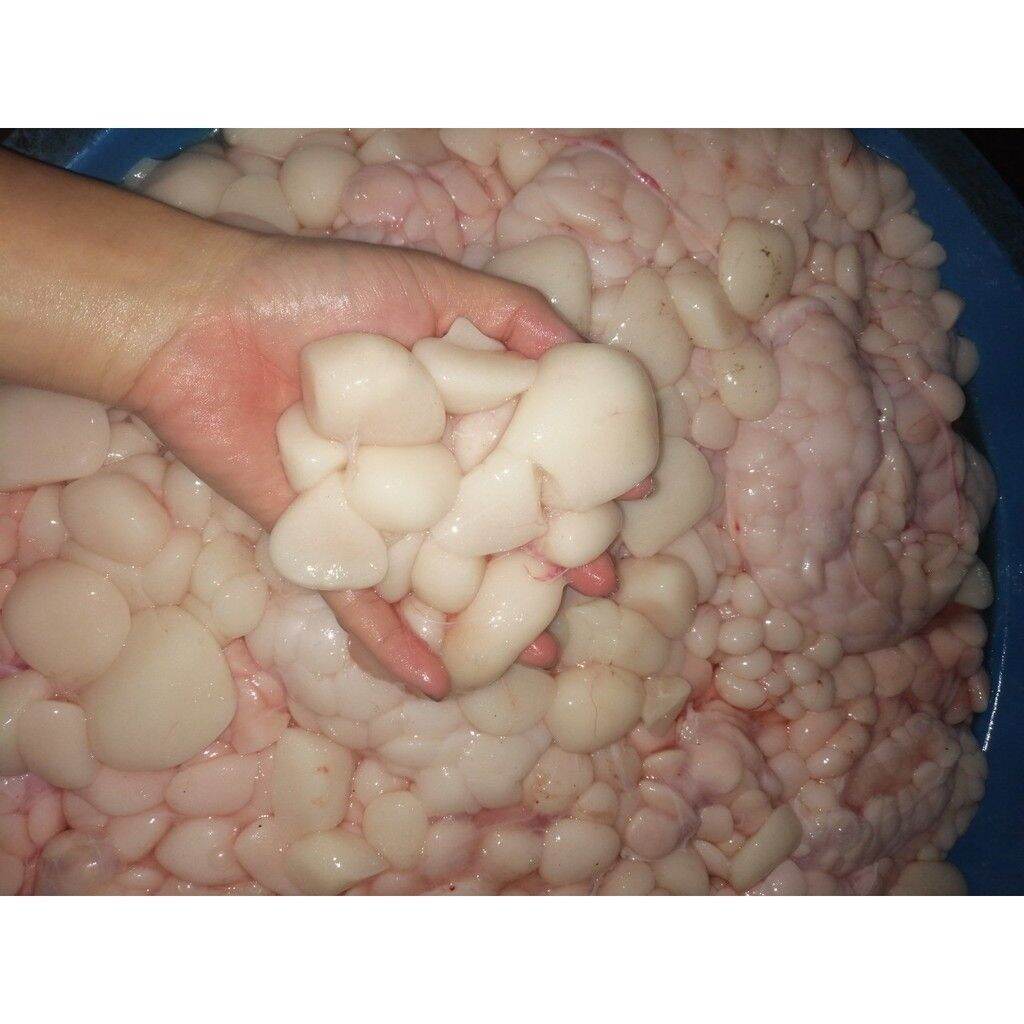 làm lành vết thương, mỡ trăn tươi