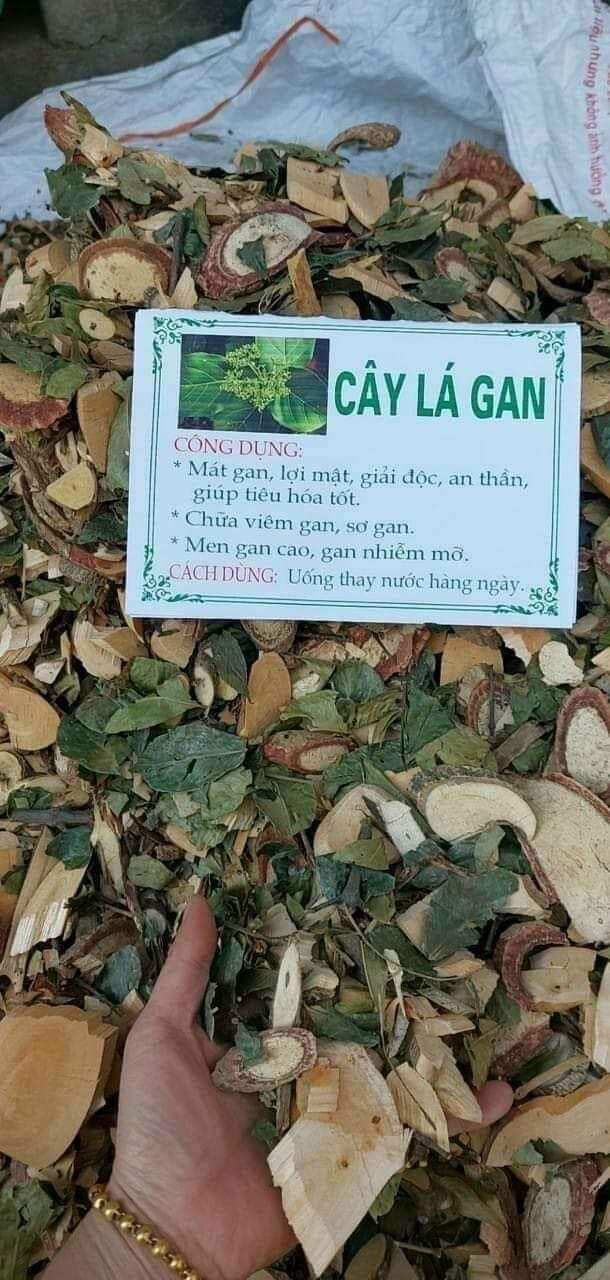 Cây Lá Gan khô .sạch (1kg) giúp mát  gan