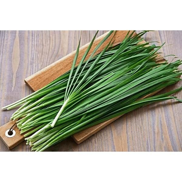 Hạt Giống Hệ Tây RaDo 521 (1gr) Dễ Trồng