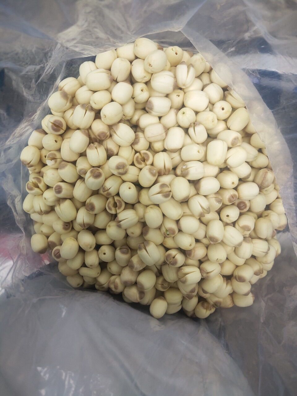 Hạt sen tươi Đồng Tháp