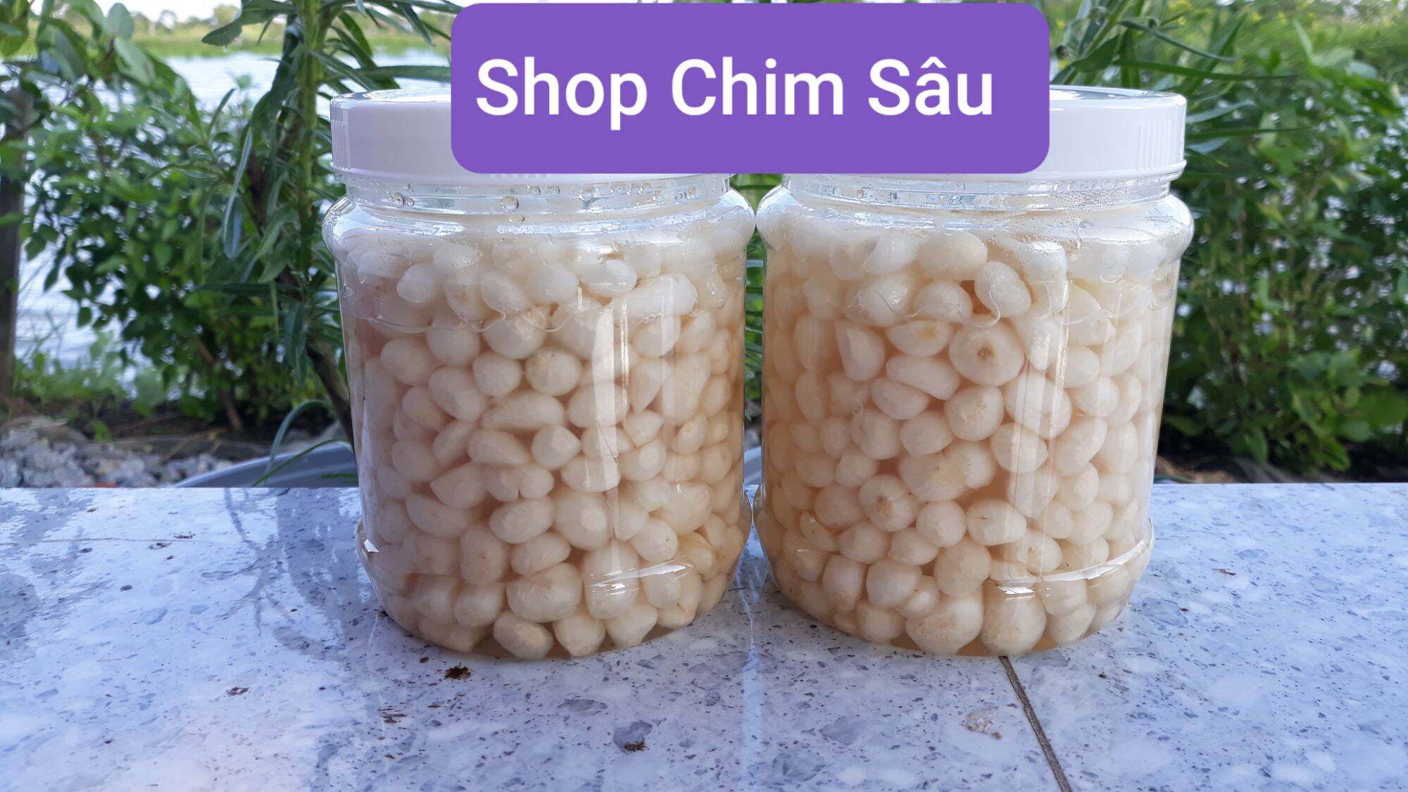 Kiệu ngâm đường 800gam