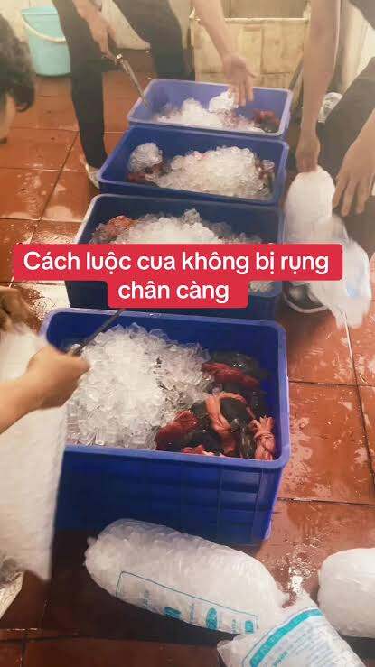 Cua biển sốt sa tế. Nguyên con 300g