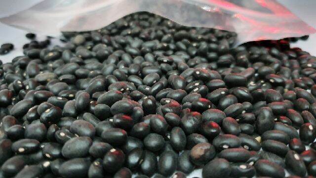 ĐẬU ĐEN 100g